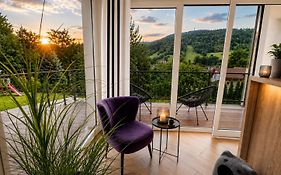 Apartament Sun House SAUNA KOMINEK SKRZYCZNE